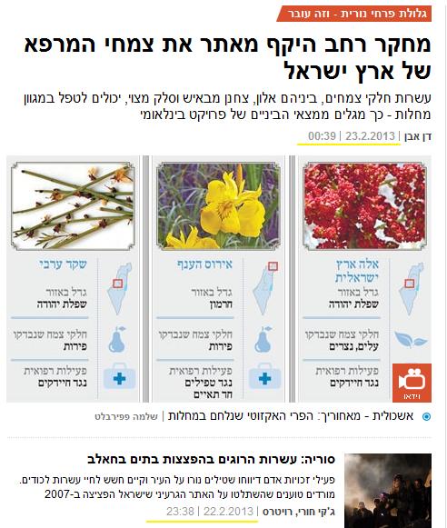 haaretz23.2.13