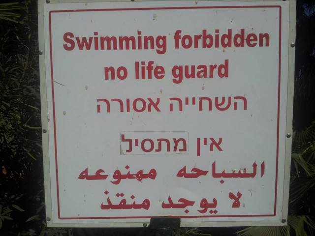 942183_10151840568953279_626128812_n